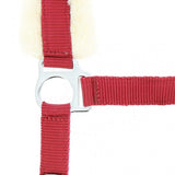 “Mouton Synthétique” Headcollar [037510007]