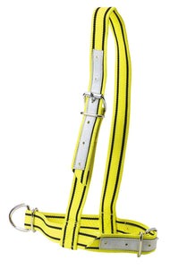 Black & Yellow Cow Halter[003121107]