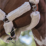 “Mouton Synthétique” Headcollar [037510007]