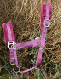 “Mouton Synthétique” Headcollar [037510007]